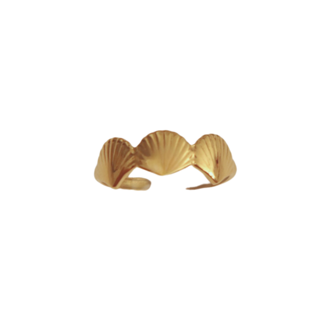vieira ring