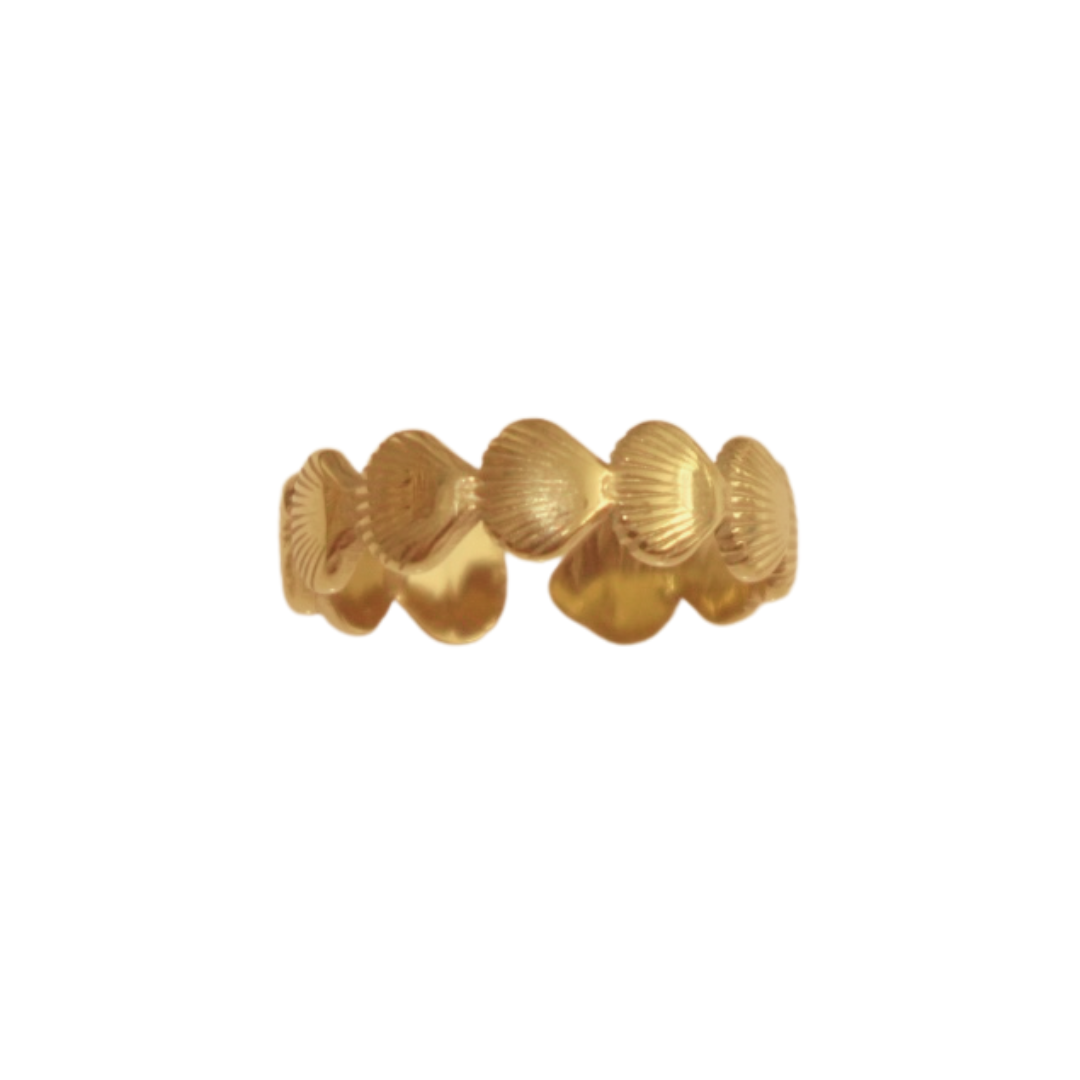 mar de vieiras ring